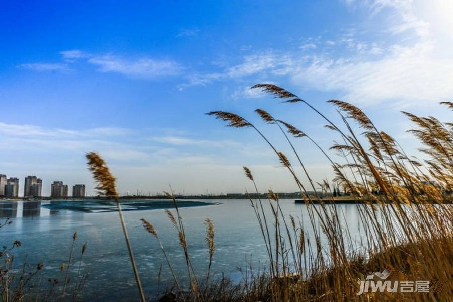 海泰渤龙湖总部经济区配套图55