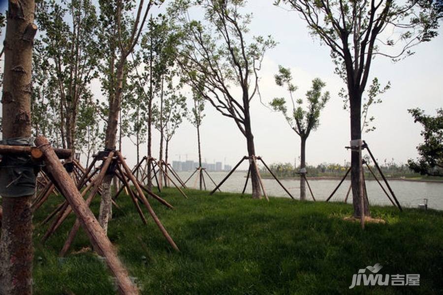 海泰渤龙湖总部经济区配套图图片