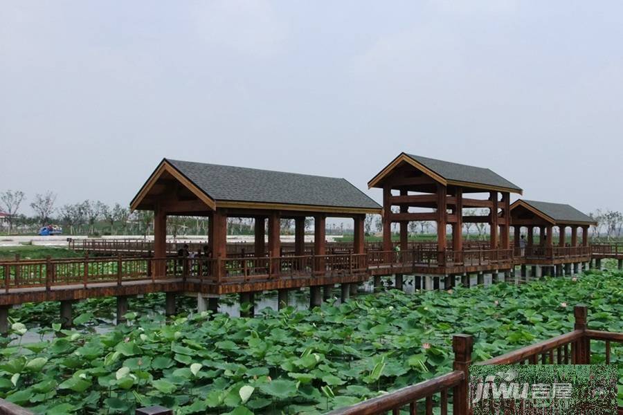 松江津滨置地广场配套图图片