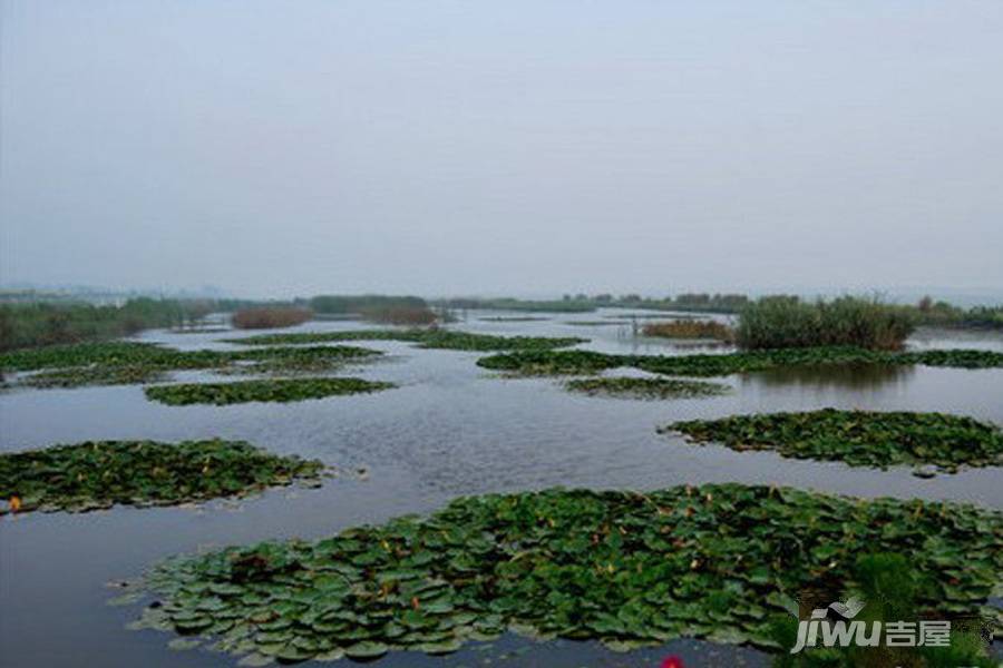 宁河湾配套图图片