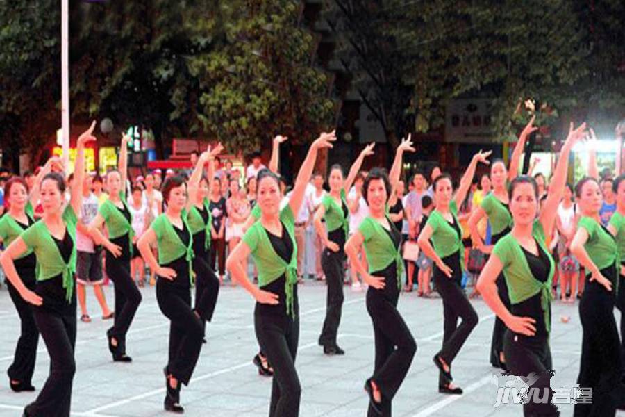 桃源观邸实景图图片