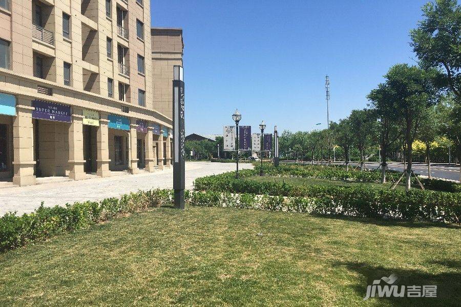 泰达御景实景图图片