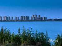 东丽湖万科城实景图图片