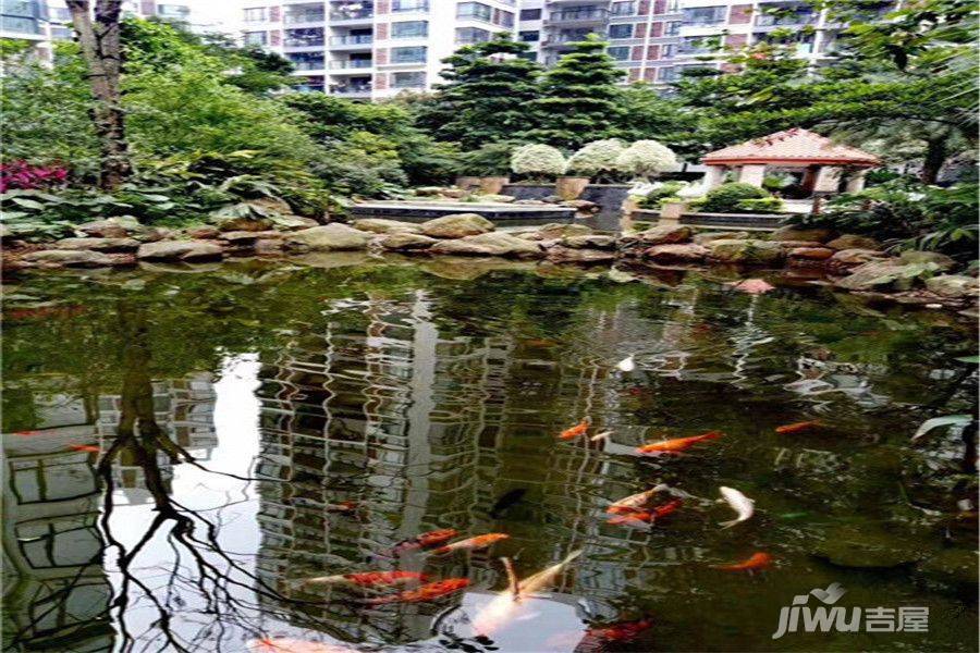 凤城明珠实景图图片