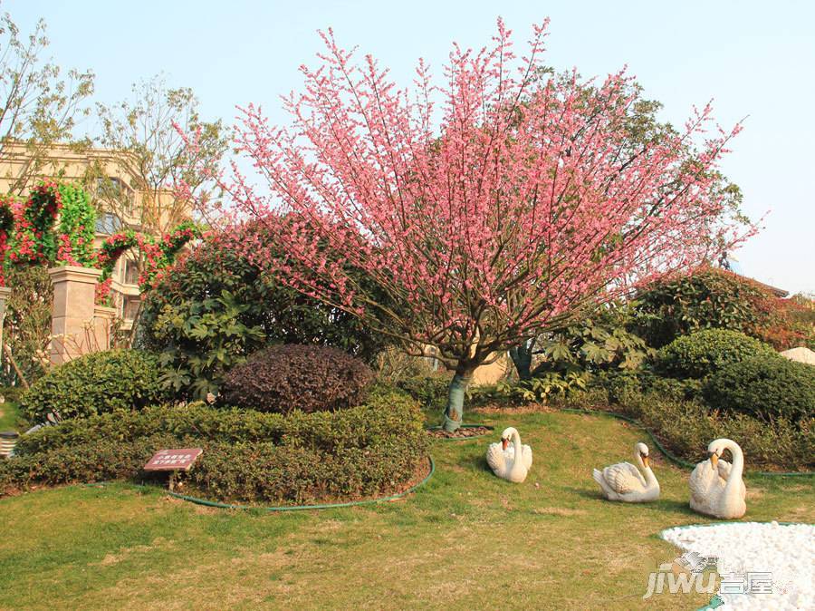 碧桂园滨湖城实景图图片