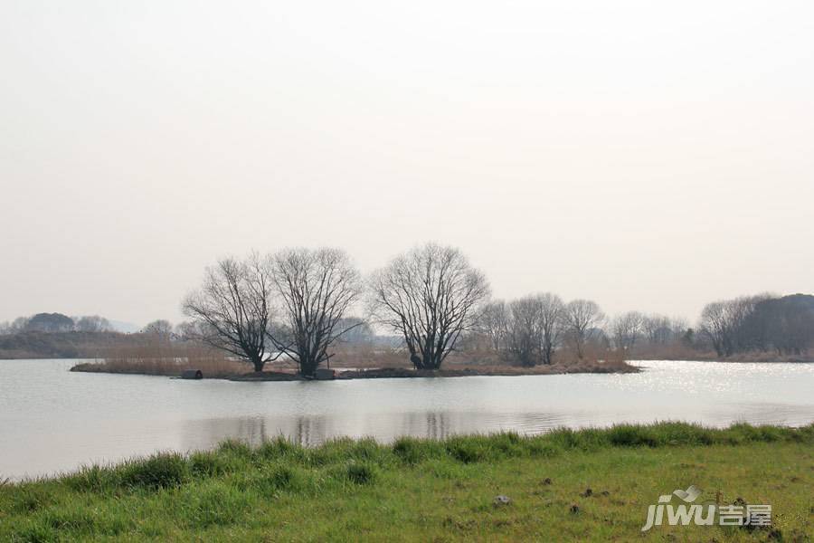 碧桂园滨湖城实景图图片