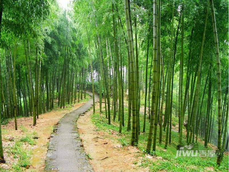 溪山美墅配套图图片