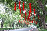 丽江花园如英居实景图图片