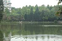 丽江花园如英居实景图图片