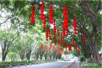 丽江花园如英居位置交通图12
