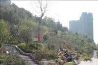 中海原山别墅实景图图片