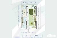 京仕佰公馆1室1厅1卫45.9㎡户型图