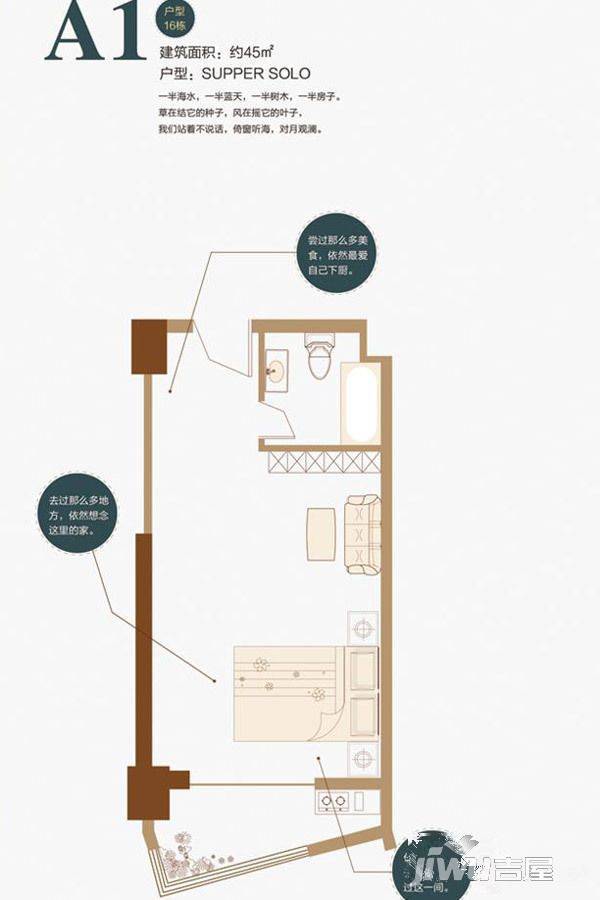 港昌金沙滩1室0厅1卫45㎡户型图