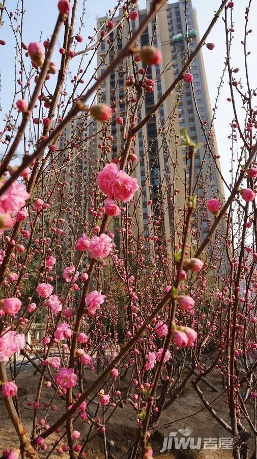 汇福悦榕湾实景图图片