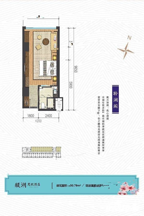 樱花谷1室1厅1卫50.8㎡户型图