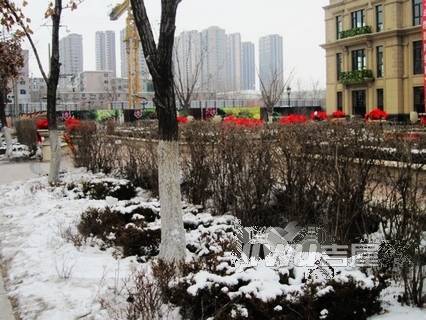 中海盛京府实景图图片