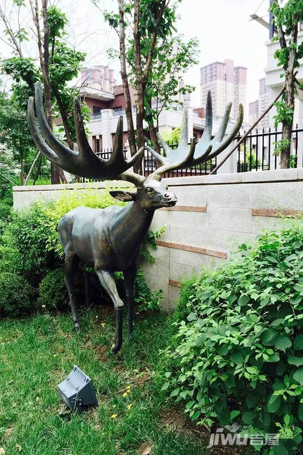 奥园会展广场住宅实景图图片