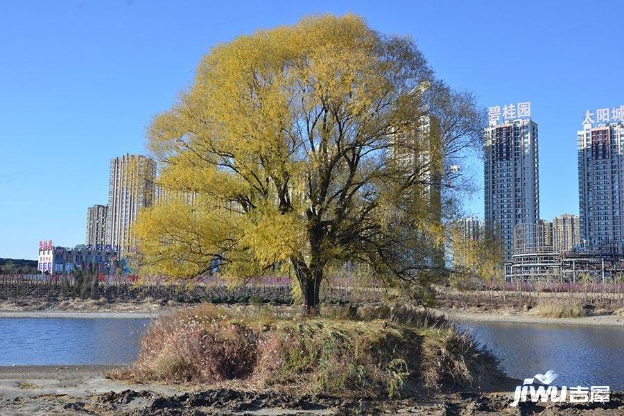 清河半岛实景图图片