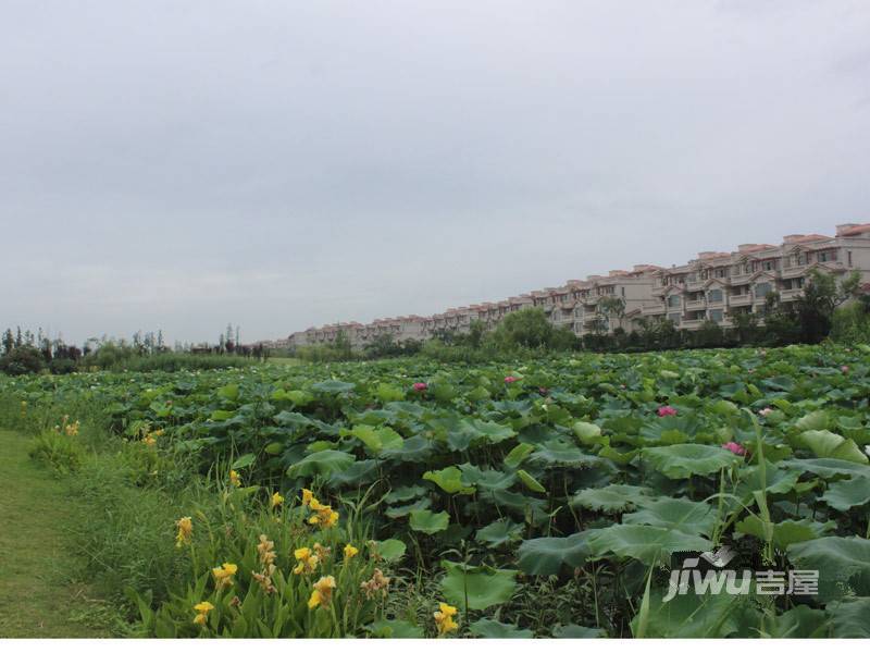 白鹭湾实景图图片