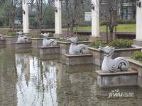 绿地国际花都实景图图片