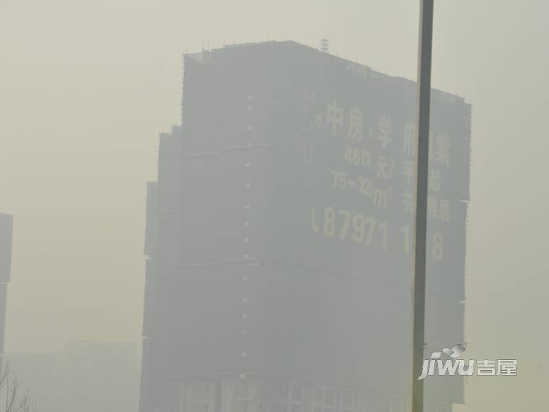 中房学府海棠实景图图片