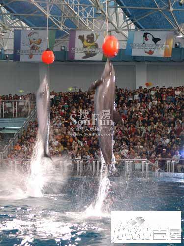 海昌CEC成都极地海洋世界售楼处图片