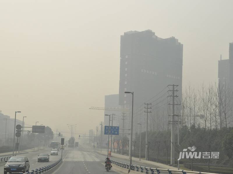 中房学府海棠实景图图片