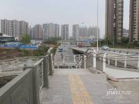 天府美岸位置交通图1