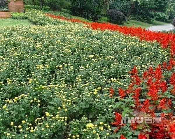 龙城一号实景图图片