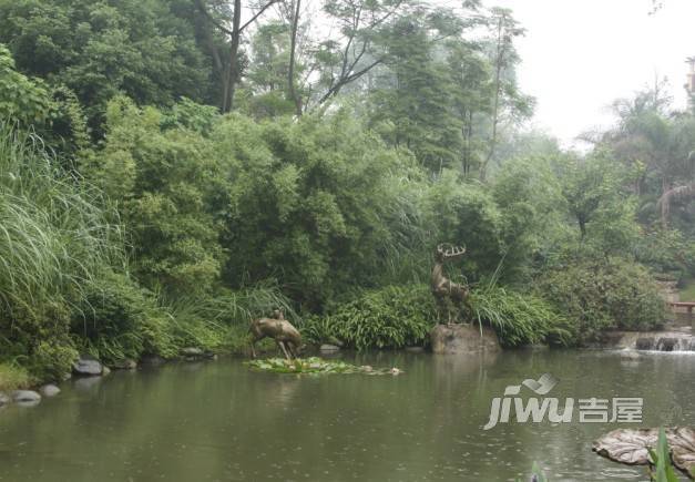 龙城一号实景图图片