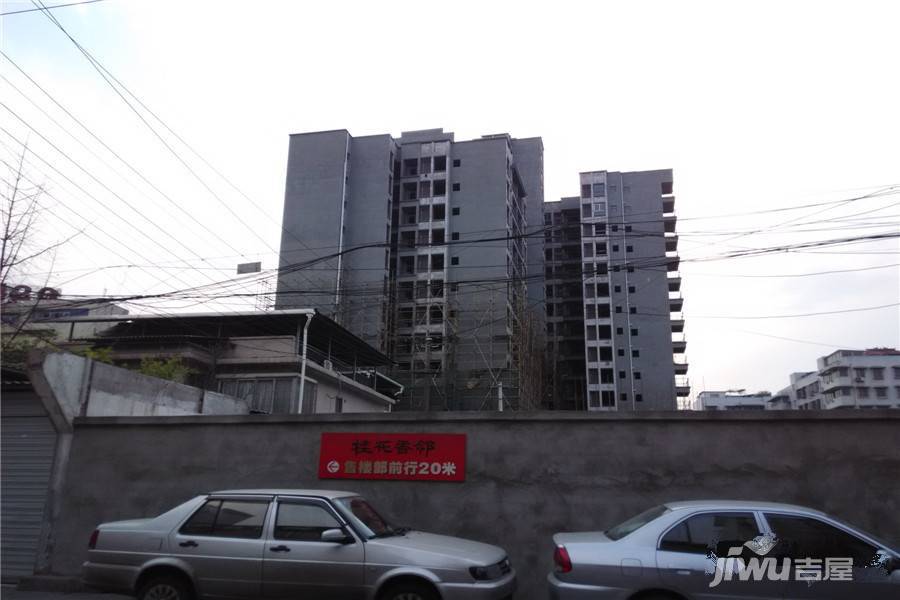 桂花香邻实景图图片