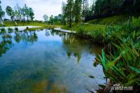 麓湖生态城麒麟荟实景图图片