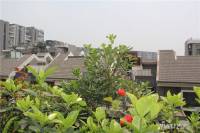 成都国韵村实景图图片