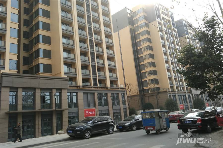 君雁金梧桐实景图图片