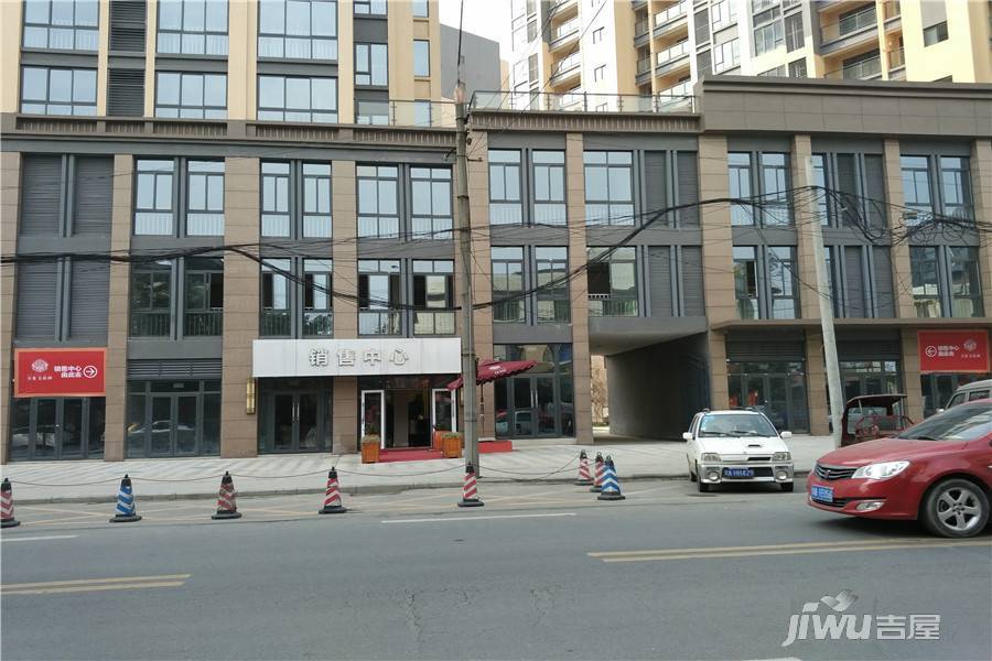 君雁金梧桐实景图图片