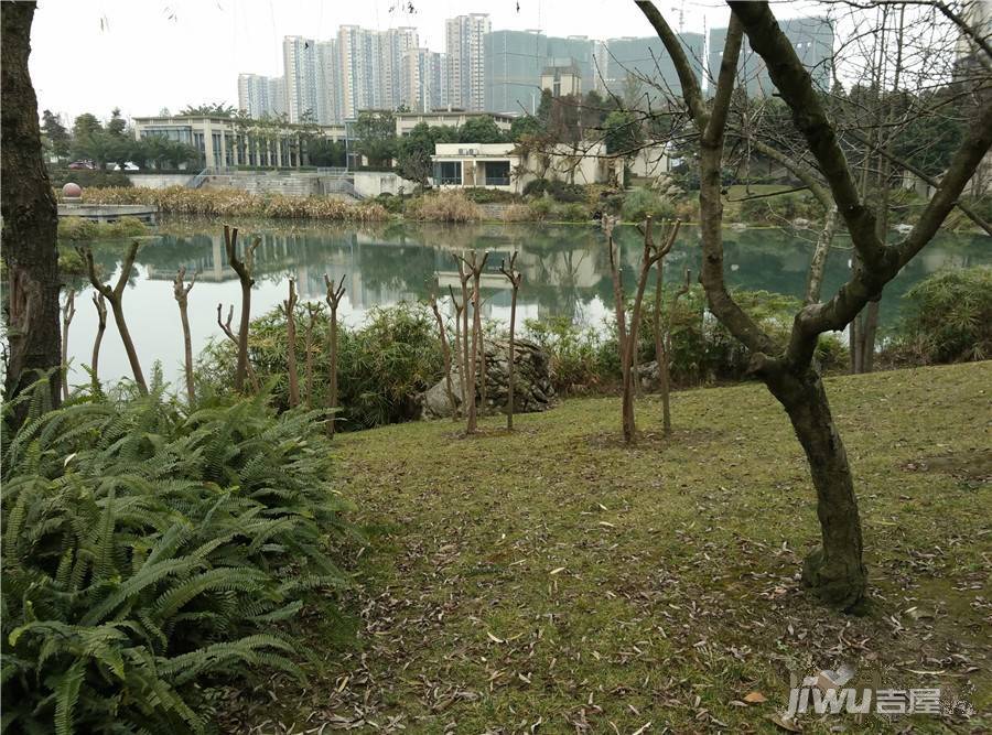 天立香缇华府实景图图片