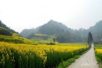 幸福公社吾村实景图图片