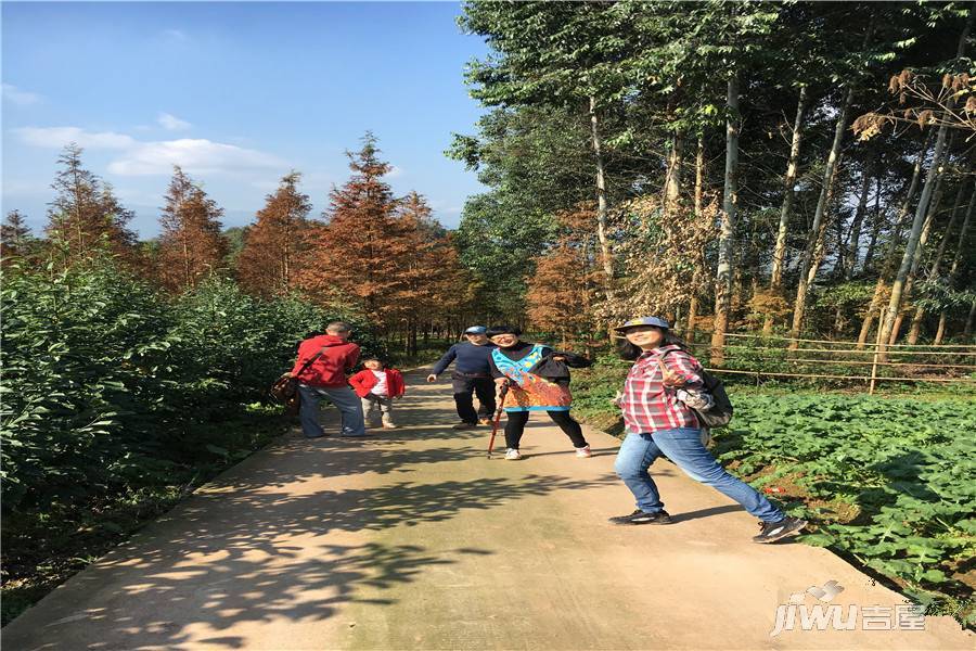 幸福公社—吾村实景图