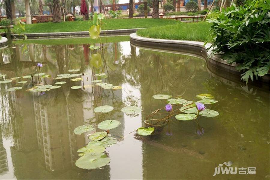 上置雅宾利花园实景图图片