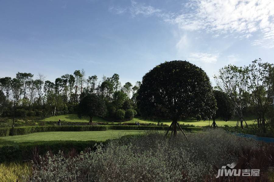 蔚蓝卡地亚花园城实景图图片