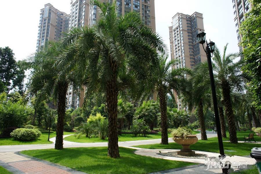 和信孔雀城实景图图片