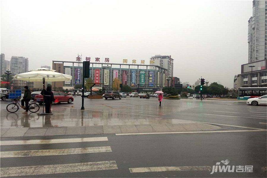 隆诚丽都实景图图片