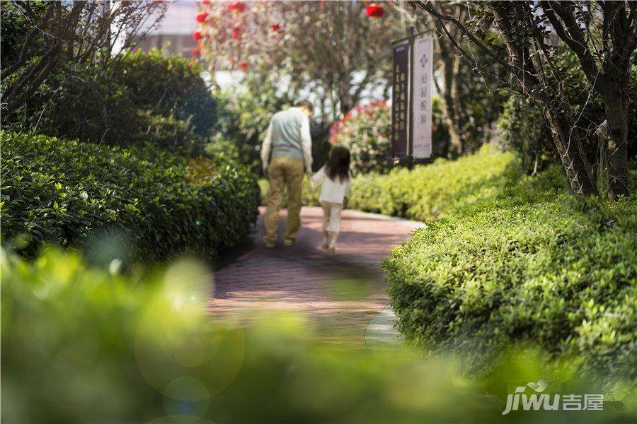 蓝光公园悦府实景图图片