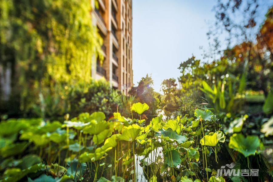 雅居乐十里花巷实景图图片