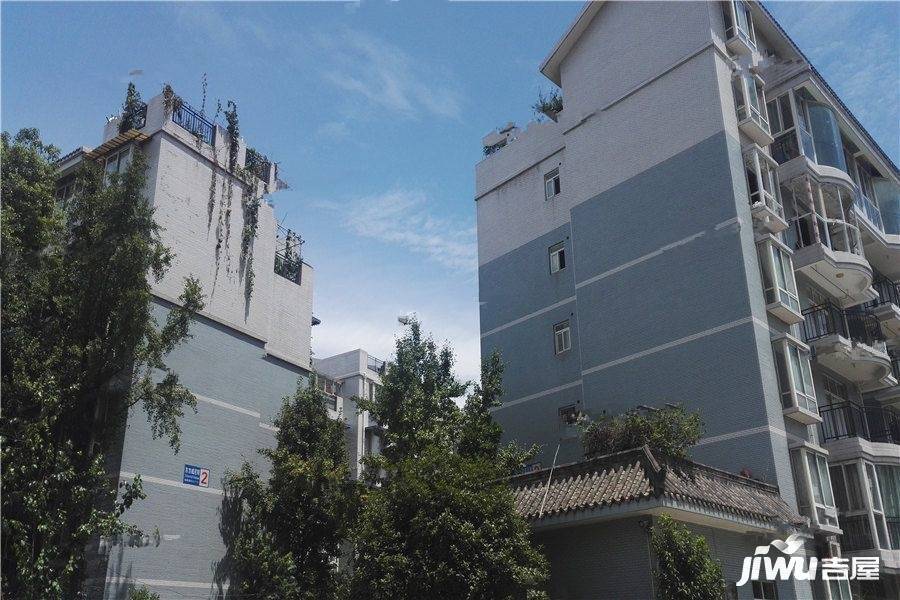 东方威尼斯实景图图片