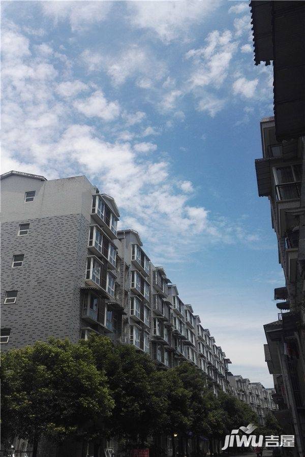 东方威尼斯实景图图片