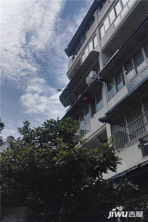 东方威尼斯实景图图片