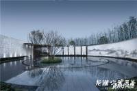 龙湖天宸原著实景图图片