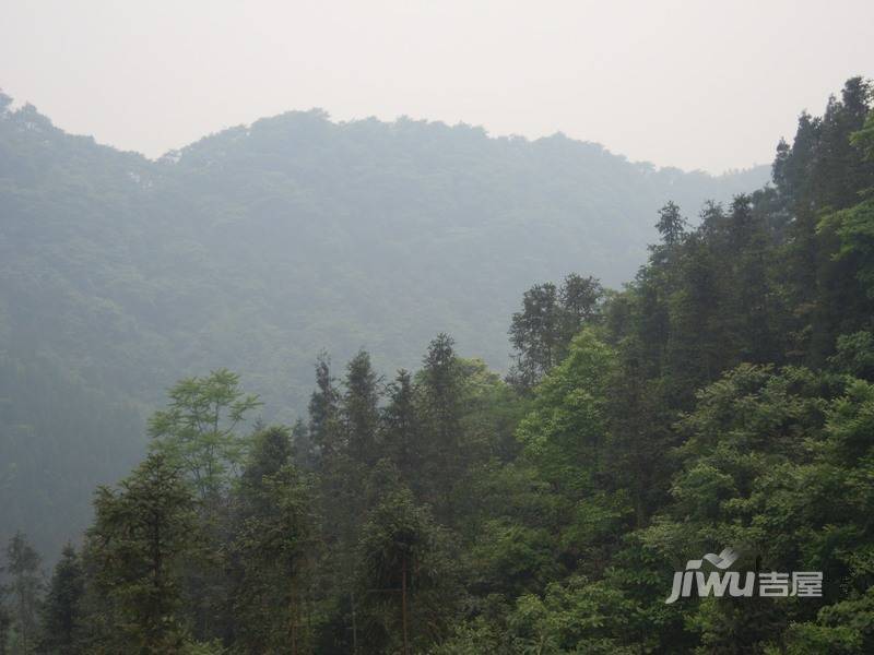 青城山韵实景图图片