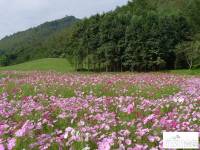 郡源山外山实景图图片